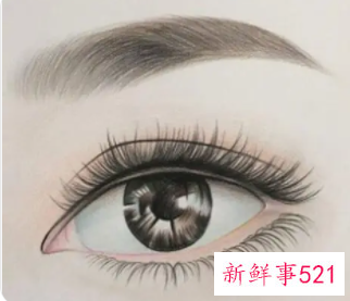 眉毛浓的女人面相