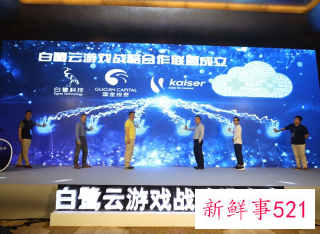 白鹭科技CEO写信称等待破产，劝大家转行