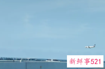 找到这样的人你算是找对了