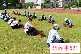 2022年秋季中小学劳动课程内容