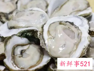 吃不完生蚝如何储存保鲜
