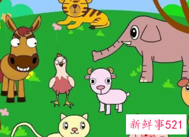 怎样对待小动物