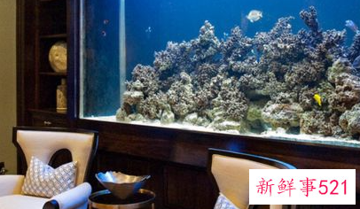 鱼缸风水讲究有哪些