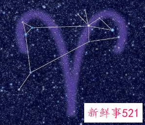 暗示白羊男自己喜欢他