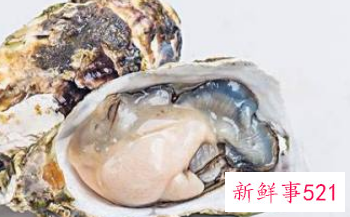 吃不完生蚝如何储存保鲜