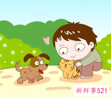 怎样对待小动物