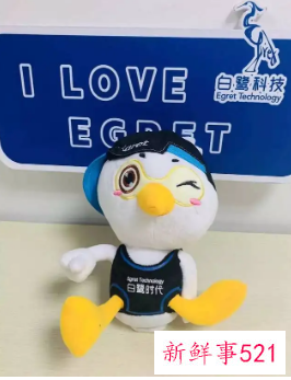 白鹭科技CEO写信称等待破产，劝大家转行