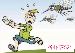 让蚊子绝不敢靠近你的绝招