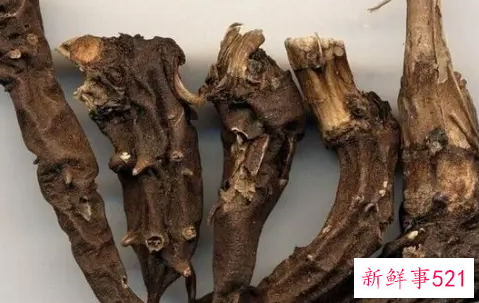 草乌川乌的功效与作用及禁忌