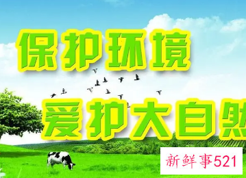 设计一条保护生态环境的宣传标语