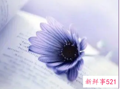 形容占有欲的唯美语录