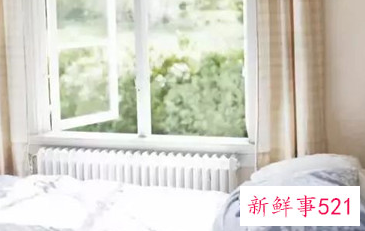 房间里进了老鼠怎么办