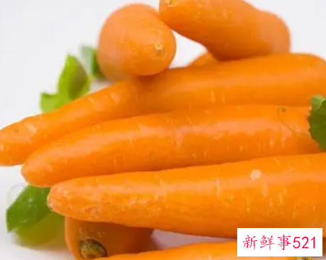 胡萝卜生吃和熟吃哪个营养好