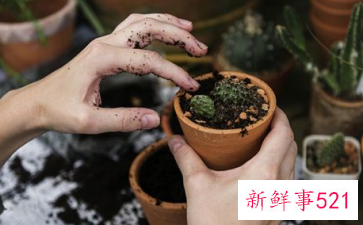 梦见手上扎刺什么意思