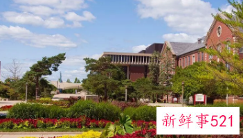 双一流大学数量