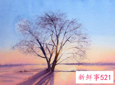 孕妇梦见摘树莓是什么意思