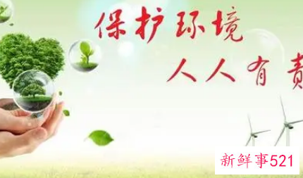 设计一条保护生态环境的宣传标语