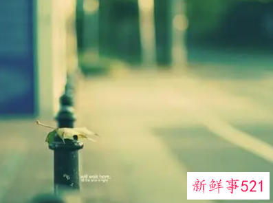 形容占有欲的唯美语录