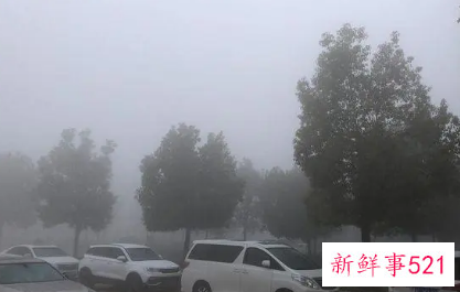 寒潮发威南方气温纷纷触底有多冷