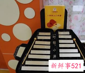 幼儿乐器启蒙学什么好