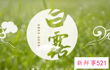 关于白露节气的知识