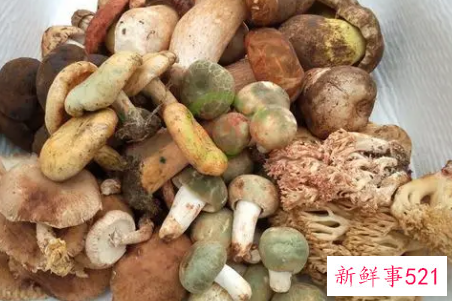 痛风病人能吃干巴菌吗