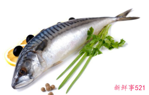 瘦子增肌比减肥好方法