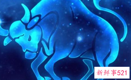 哪个星座的老板是你的贵人