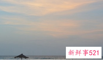 梦见在地里刨红薯