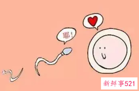 预示受孕成功的梦