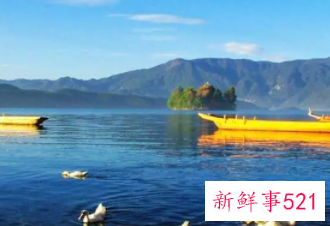 梦见旅行看到好风景