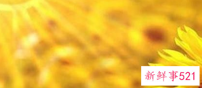 跟好朋友关系淡了该怎么挽回