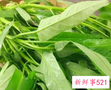 吃空心菜的好处和坏处