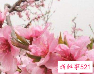 千古流芳几种古代公主美容法