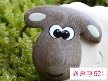 自闭症儿童的行为表现有哪些呢