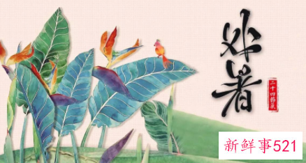 处暑意味着什么