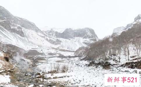 冬季碎花雪纺长裙怎么搭配好看