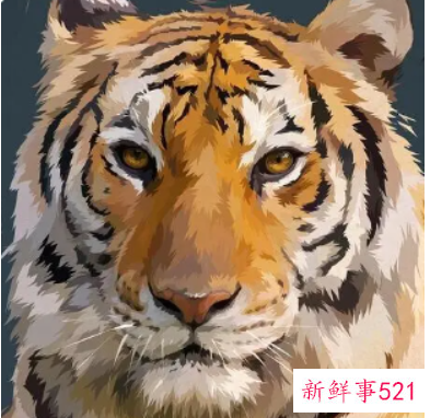 水虎命取名字忌讳偏旁