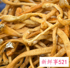 虫草花和什么相克和香菇