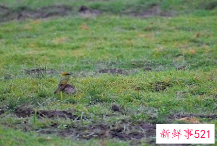 老公同意我出轨说只要我开心