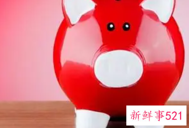 属猪农历几日出生富贵命