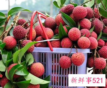 多吃什么水果才有营养