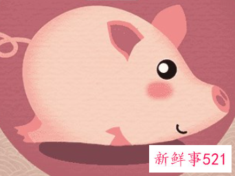 属猪农历几日出生富贵命