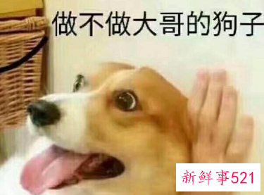 双子座的5个少为人知的特征