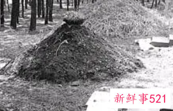 年轻人下葬注意忌讳哪些