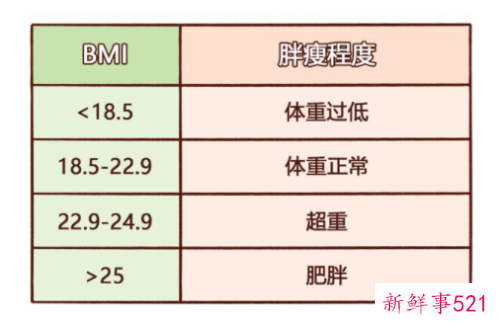bmi体重指数标准