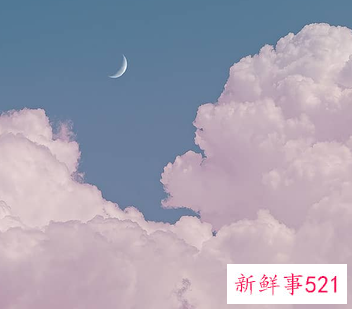 败给新鲜感的句子