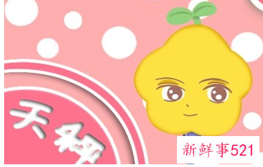 天秤座喜欢的礼物