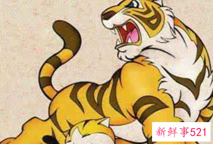 1998年虎属相婚配