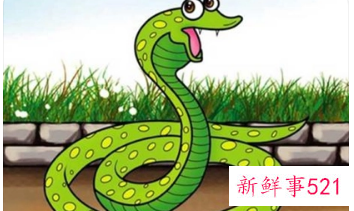 属蛇的人起名字有什么字的忌讳